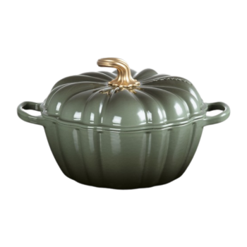 Cast Iron Casserole Pumpkin Thyme 24cm (1)