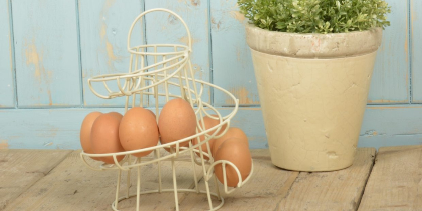 Egg Storage | Heading Image | Product Category